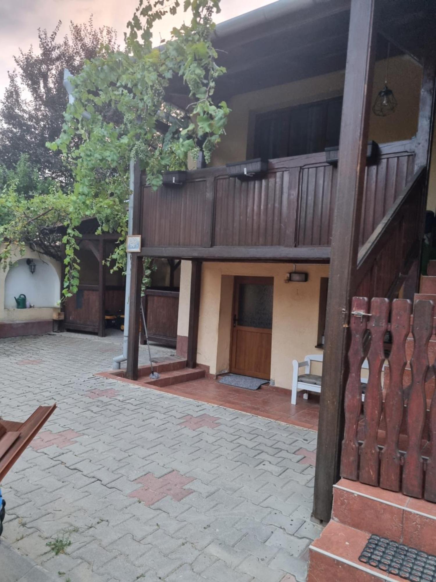 Casa Andreea 度假居 Mediaş