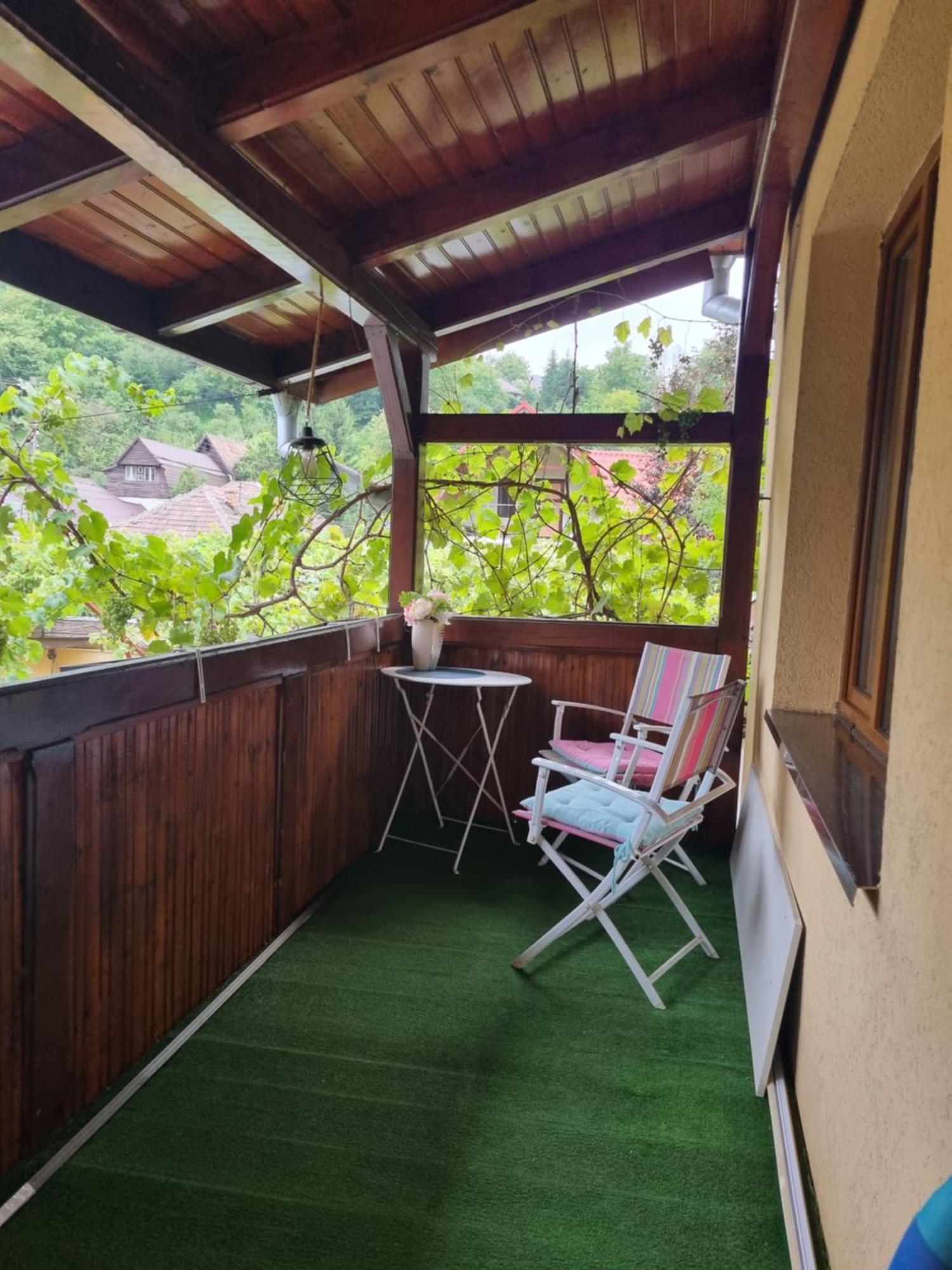 Casa Andreea 度假居 Mediaş